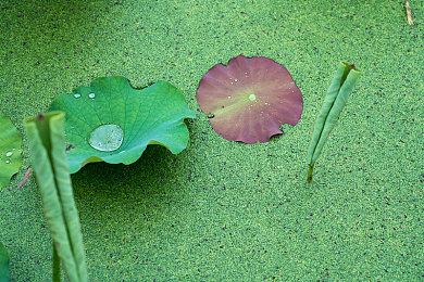 被指控单机游戏强制联网收集数据 育碧回应：正着手调查